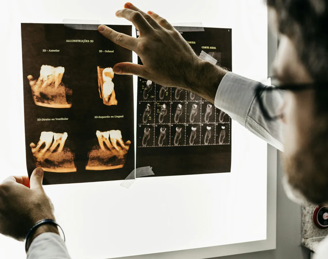 Diam Donec Adipiscing Risus article thumb 8